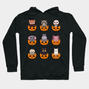 Cute Animals In Pumpkin Pack Hoodie